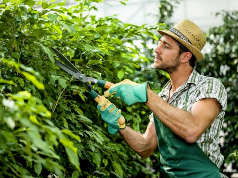 Trainer demonstrating safe equipment use to gardeners