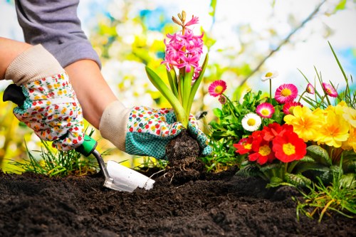 Sustainable landscaping practices in Mill Hill