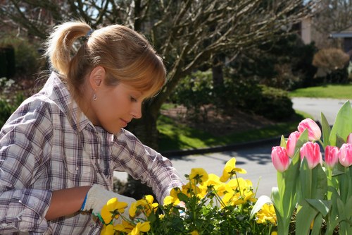Inspector or gardener reviewing a planting area during assessment